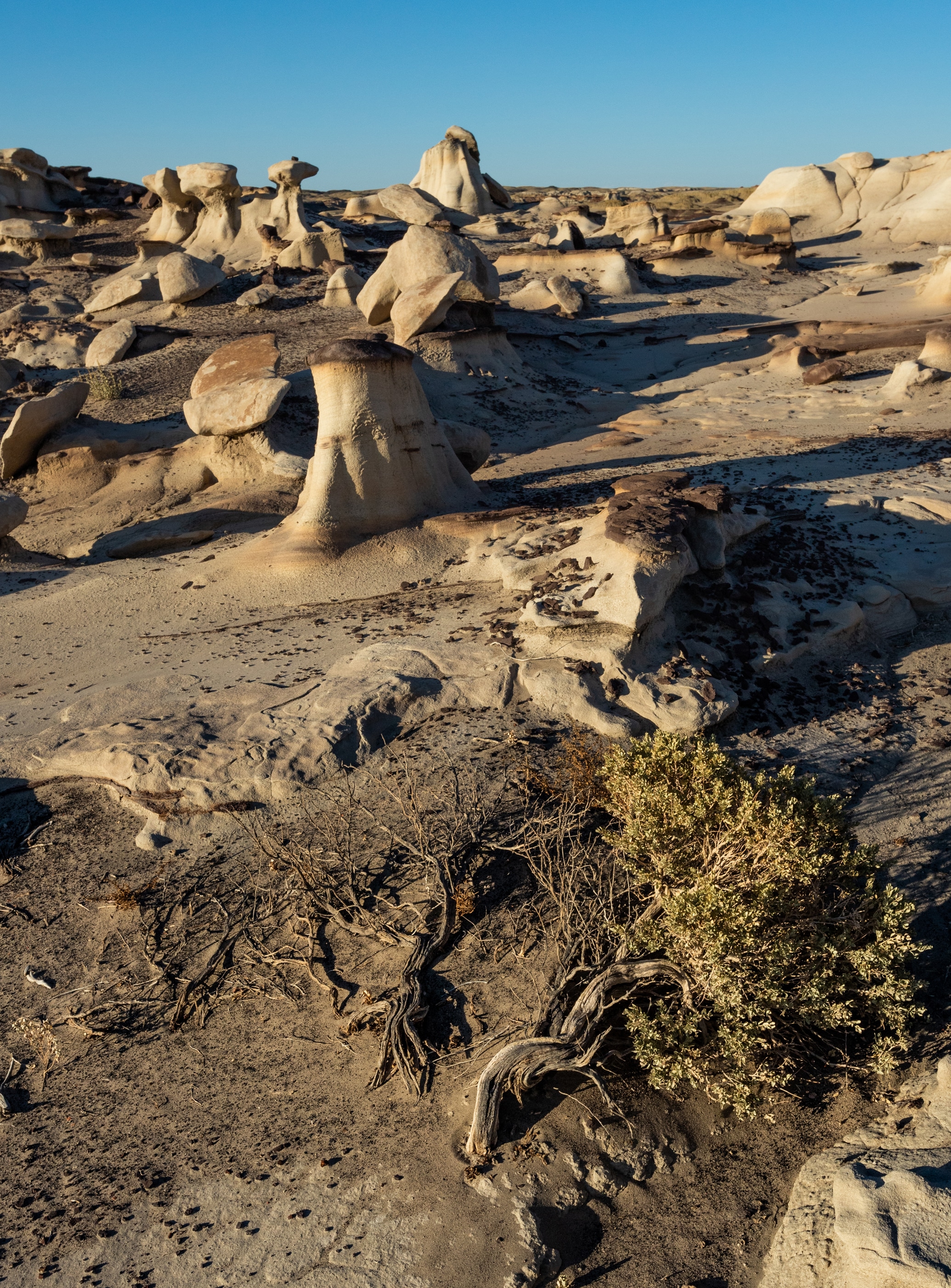 Bisti/De-Na-Zin Wilderness Area